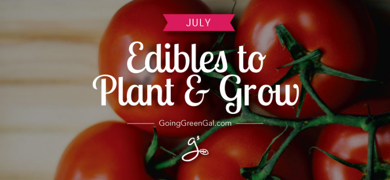 Edibles to Plant & Grow in July