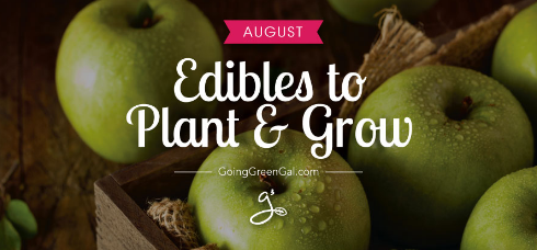 Edibles to Plant & Grow in August