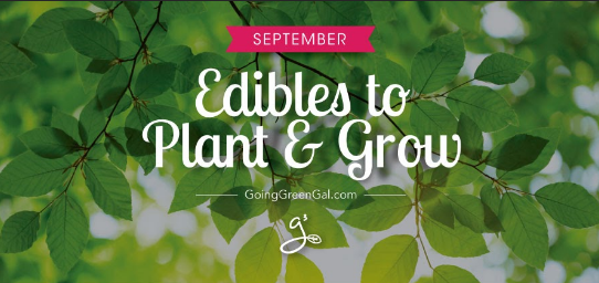 What to Plant & Grow: September