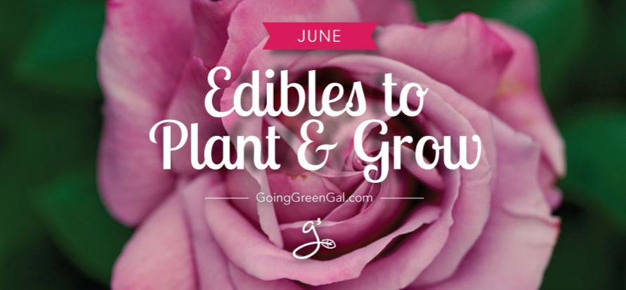 Edibles to Plant & Grow in June