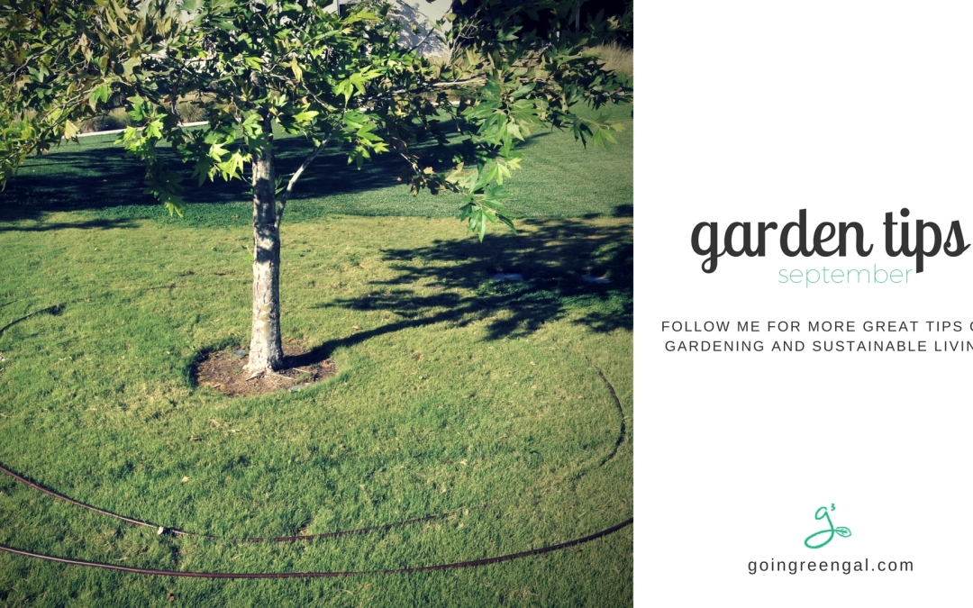 Garden Tips for September