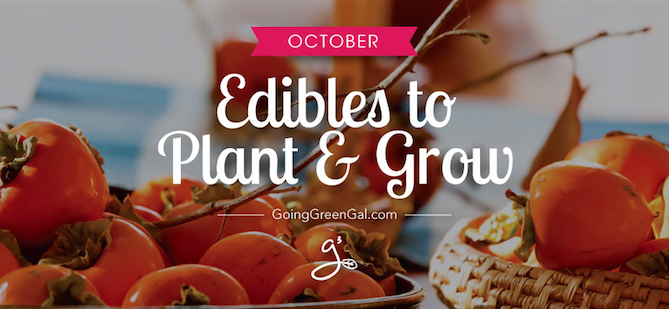 What to Plant and Grow: October