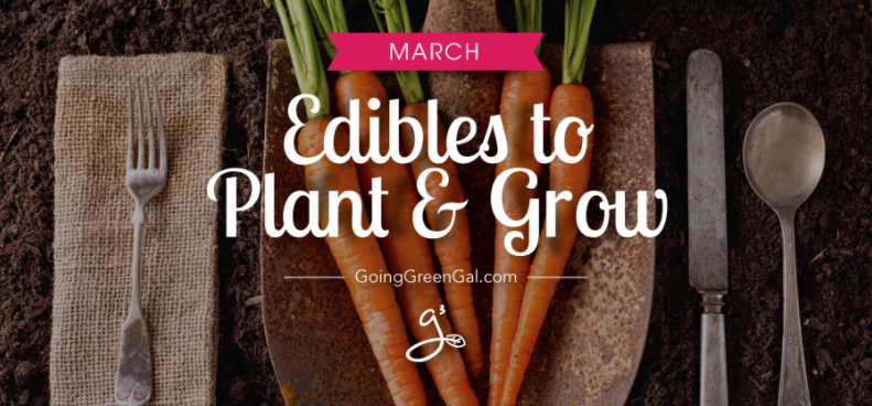 Edibles to Plant & Grow in March